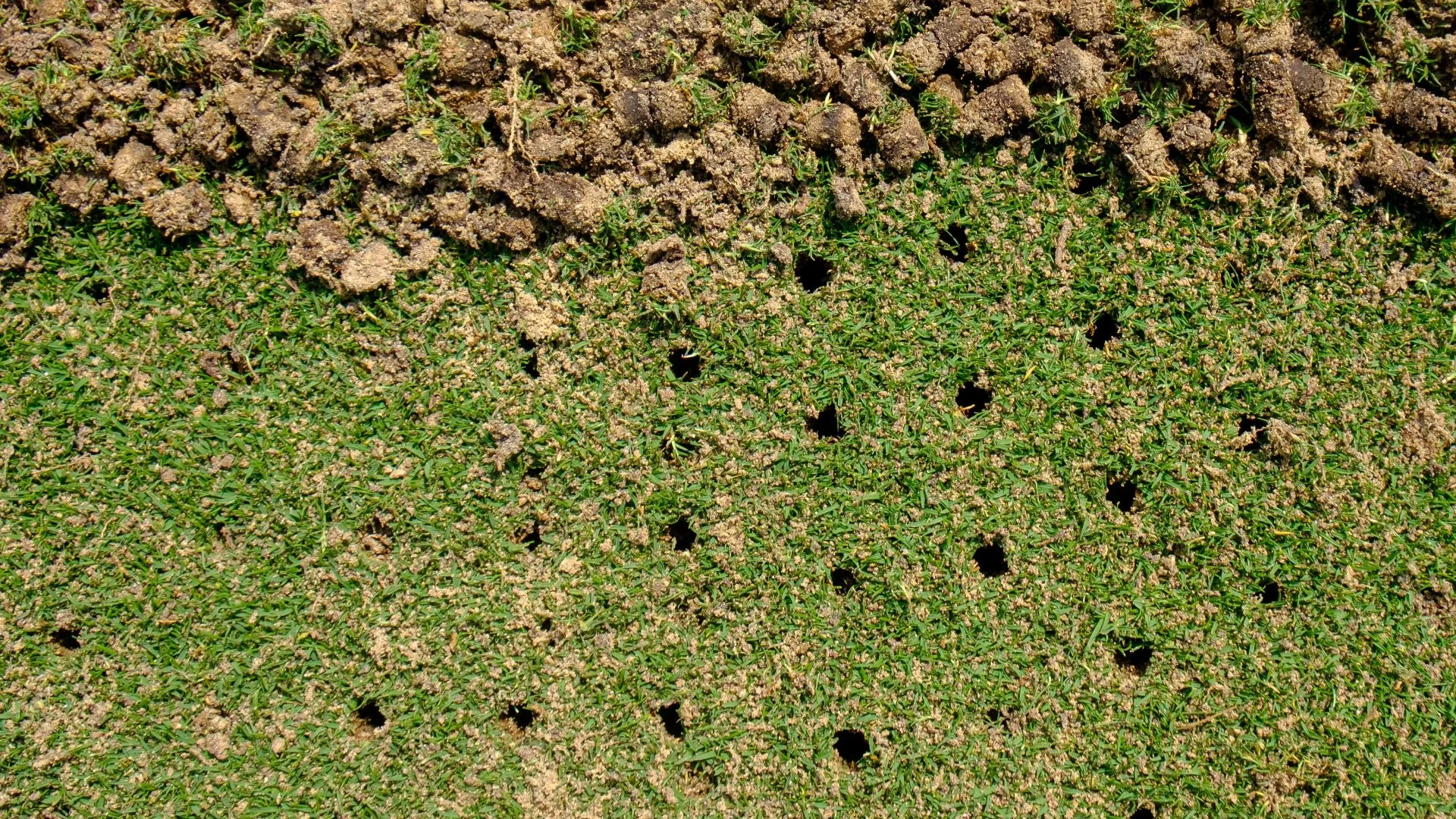 Comparing Liquid vs Core Aeration for Your Lawn in Kansas