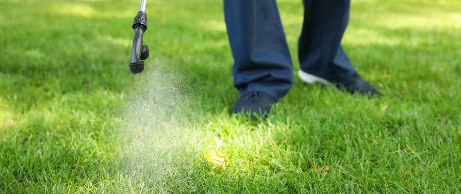 Crew treating a lawn in Olathe, KS, with pre-emergent weed control.