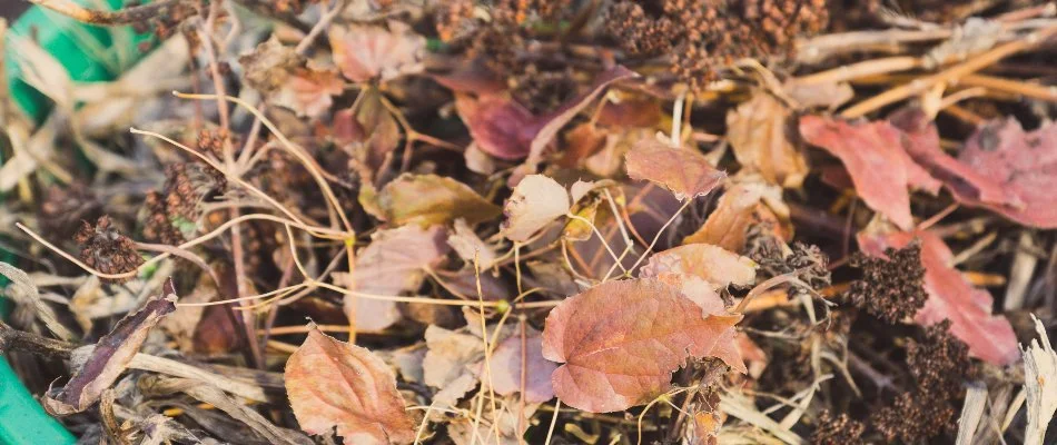 Leaves and debris from a yard in Olathe, KS.