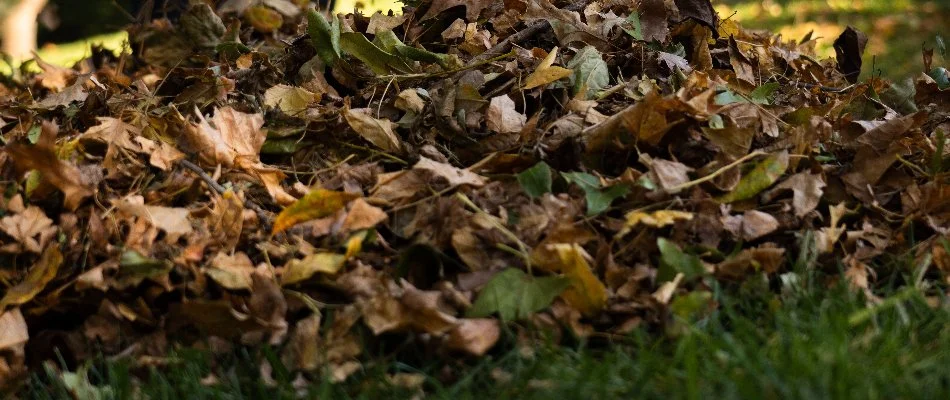Pile of leaves on a lawn in Olathe, KS.