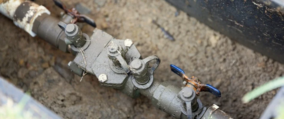 Backflow preventer valves.