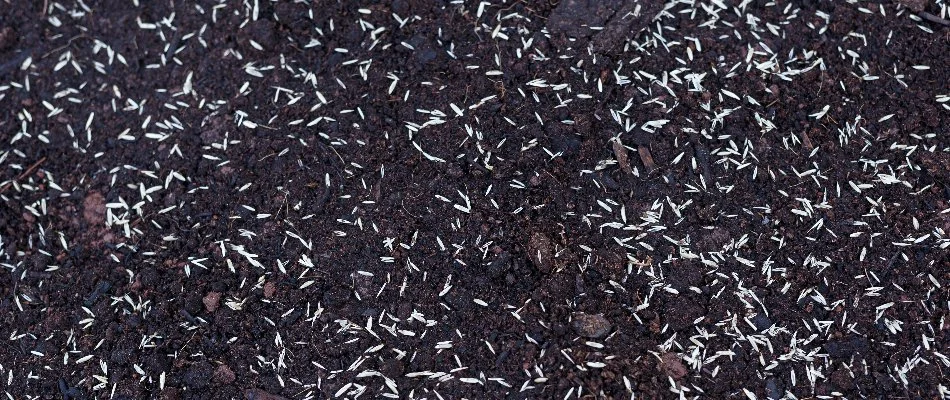 Round fire pit surrounded by chairs in Olathe, KS.