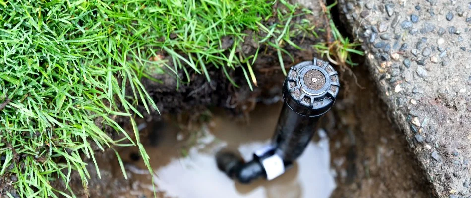Damaged sprinkler head with a puddle in Olathe, KS.