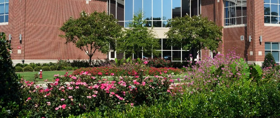 Plants in front of a commercial building in Olathe, KS.