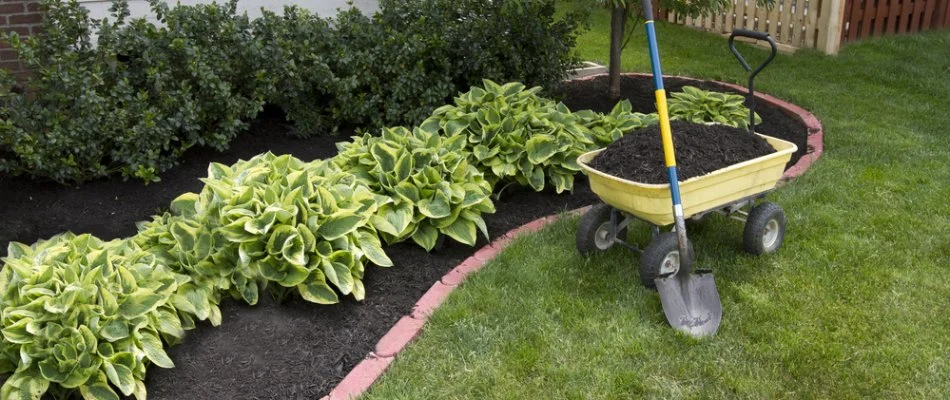 Mulch in landscape bed on a property in Olathe, KS.