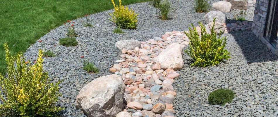 Dry creek bed with rocks and plants in Olathe, KS.