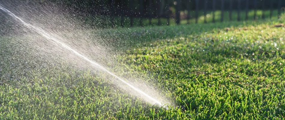 Grass and irrigation sprinkler head in Edgerton, KS.