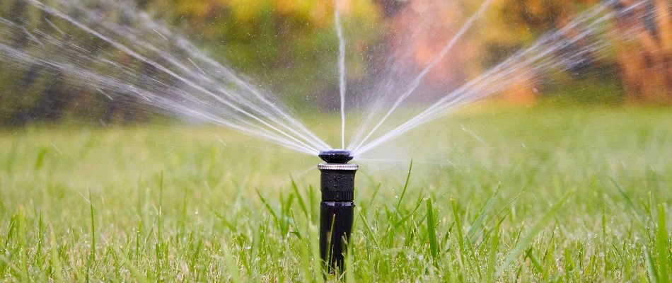 Grass in Mission, KS, with sprinkler head.