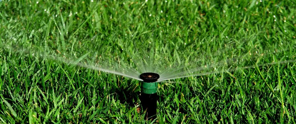 Green grass and sprinkler in Olathe, KS.