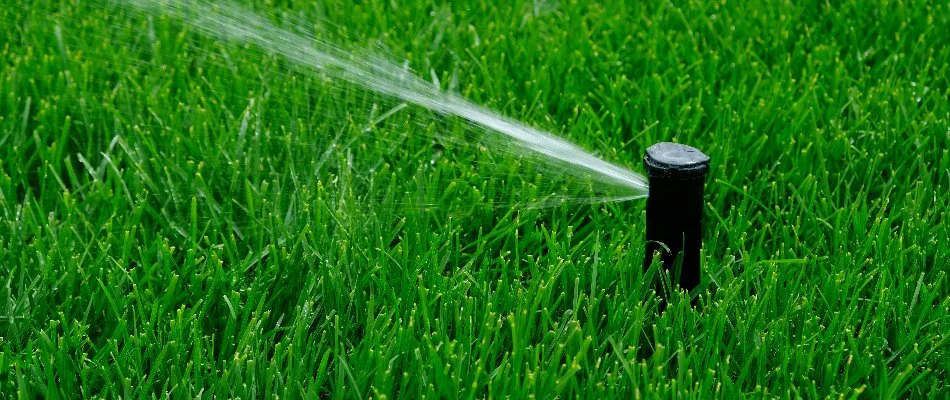Green grass around a running sprinkler head in Olathe, KS.