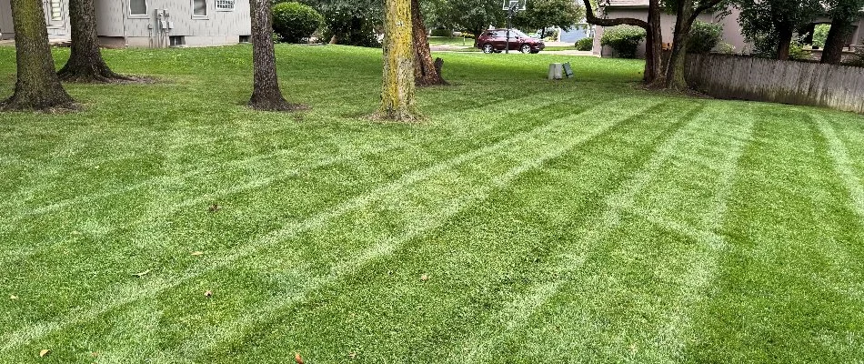 Healthy green lawn in Edgerton, KS.