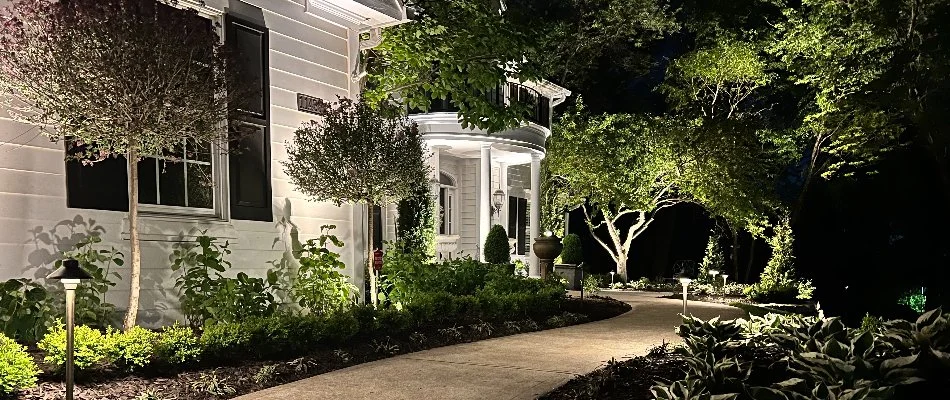 Mowed lawn with tree in Overland Park, KS.