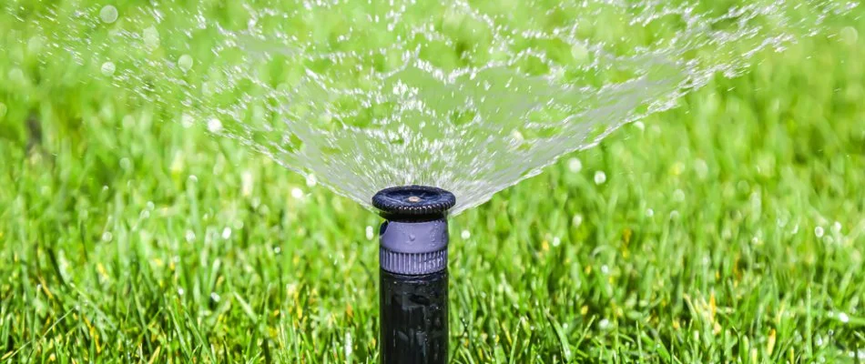 Sprinkler head spraying water on a lawn in Olathe, KS.