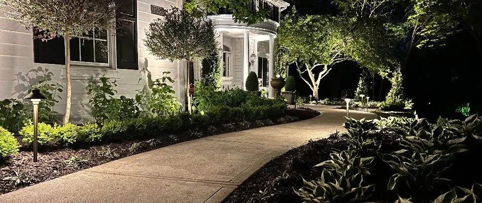 Granular fertilizer spread on a lawn in Wesley Chapel, NC.