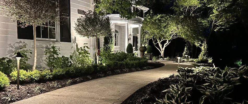 Landscape lighting on plants in Olathe, KS.