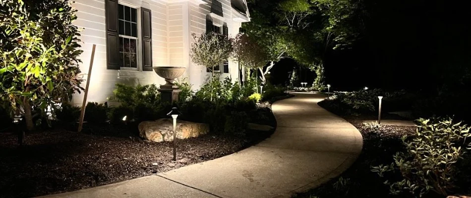 Walkway and landscaping at night with lighting.
