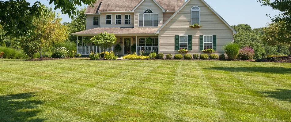 Large, green lawn and plants in front of a house in Olathe, KS.