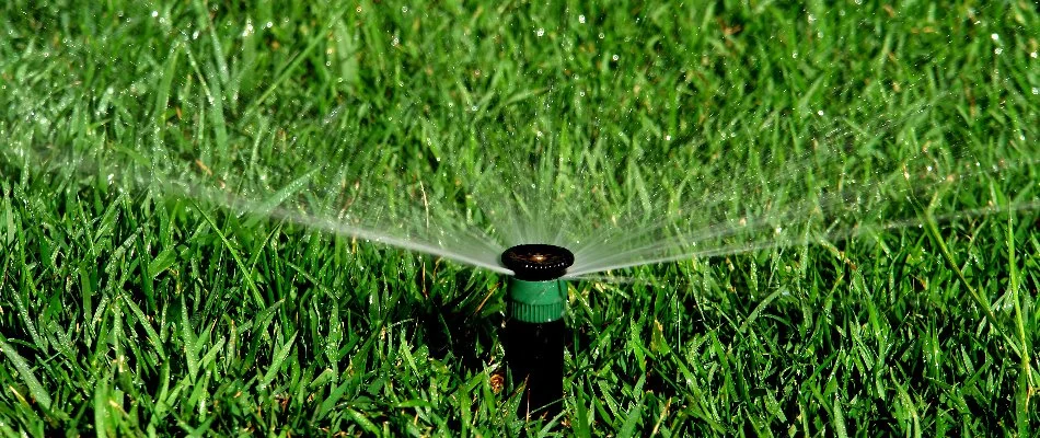 Lawn in Prairie Village, KS, with an irrigation sprinkler head.