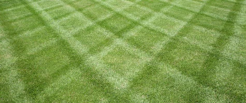 Round fire pit surrounded by chairs in Olathe, KS.