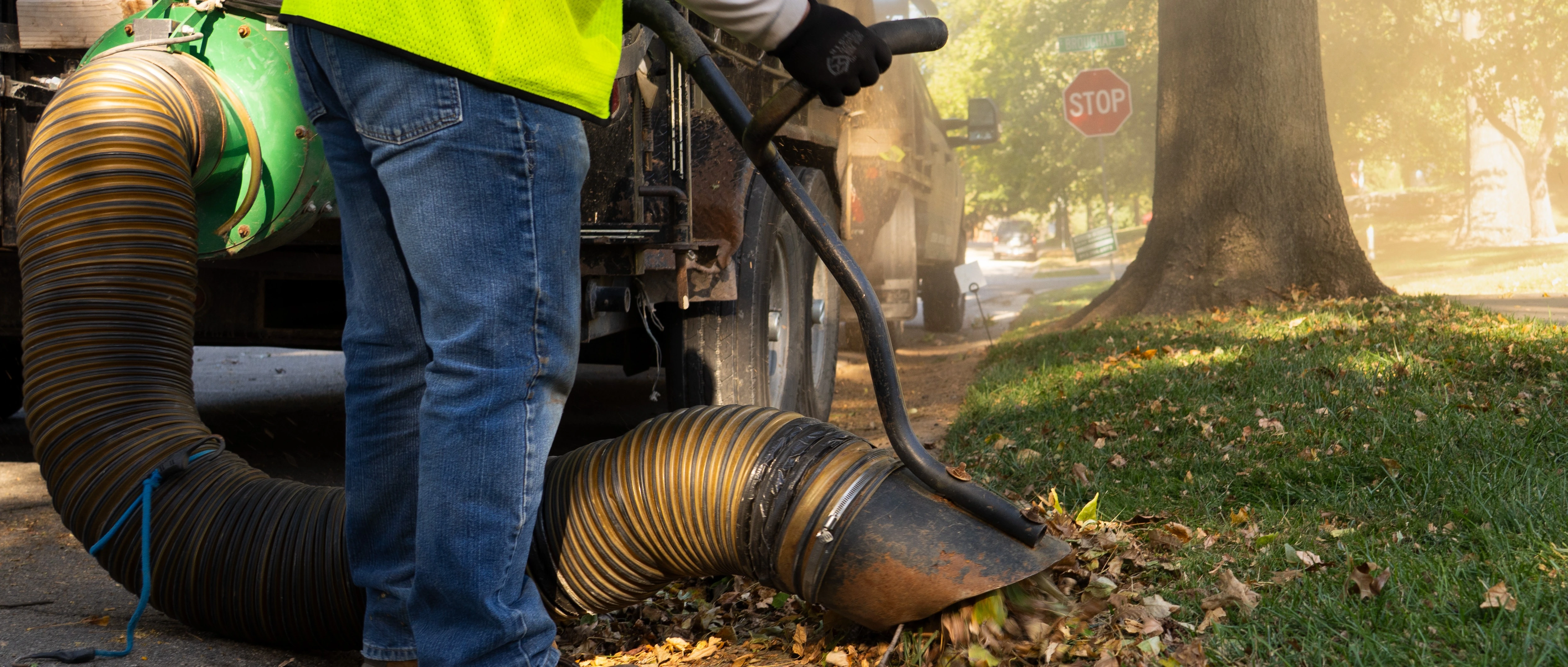Leaf Removal in Olathe, KS, being blown into a pile.