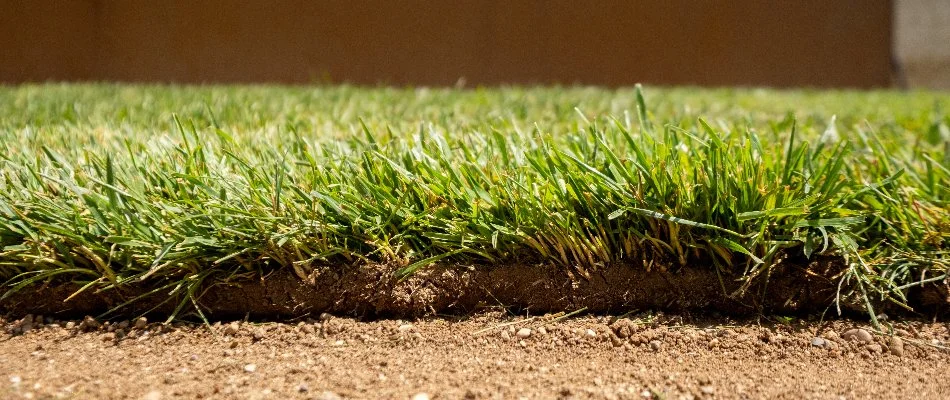 Round fire pit surrounded by chairs in Olathe, KS.