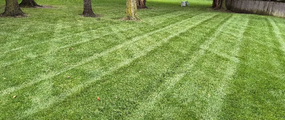 Lush green lawn in Loch Lloyd, KS, with mowing stripes.
