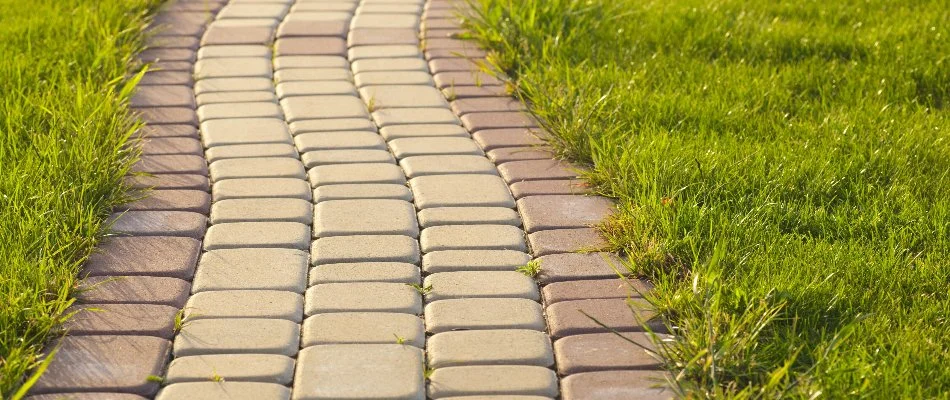 Paver walkway in Olathe, KS, on a lawn.