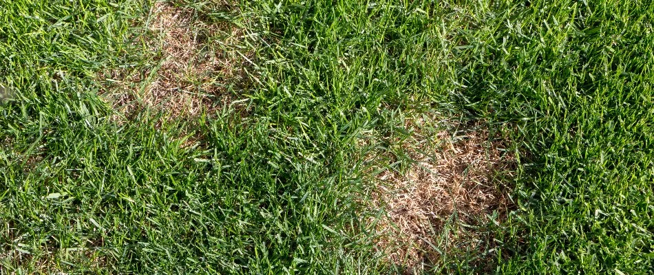 Round fire pit surrounded by chairs in Olathe, KS.