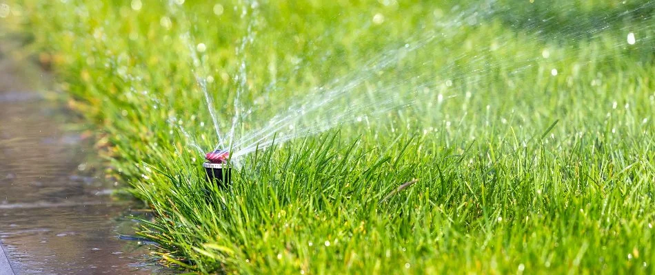 Lawn in Gardner, KS, with a sprinkler head.