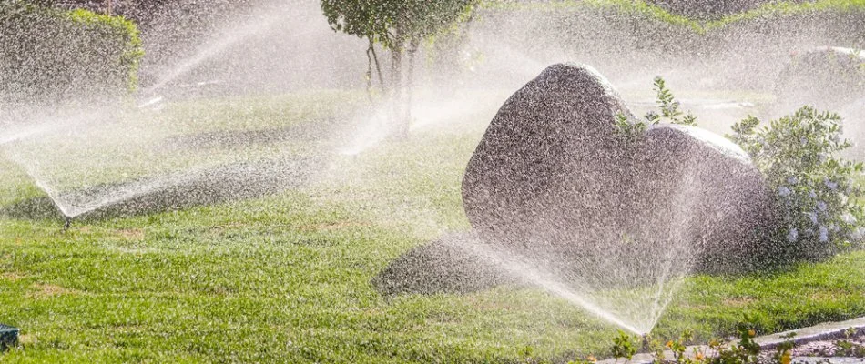 Sprinkler heads in a yard in Olathe, KS, with grass and shrubs.