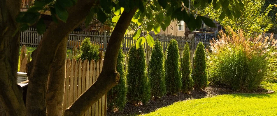 Trees and shrubs on a property in Gardner, KS.
