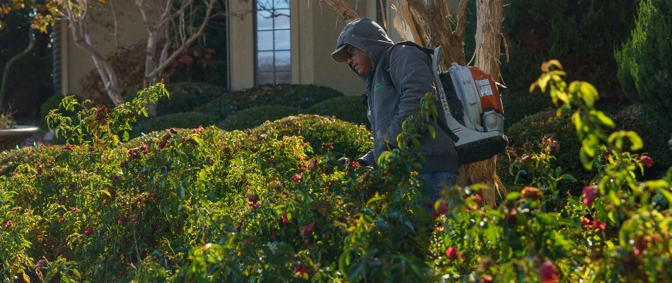 Worker blowing out landscape beds in Olathe, KS.