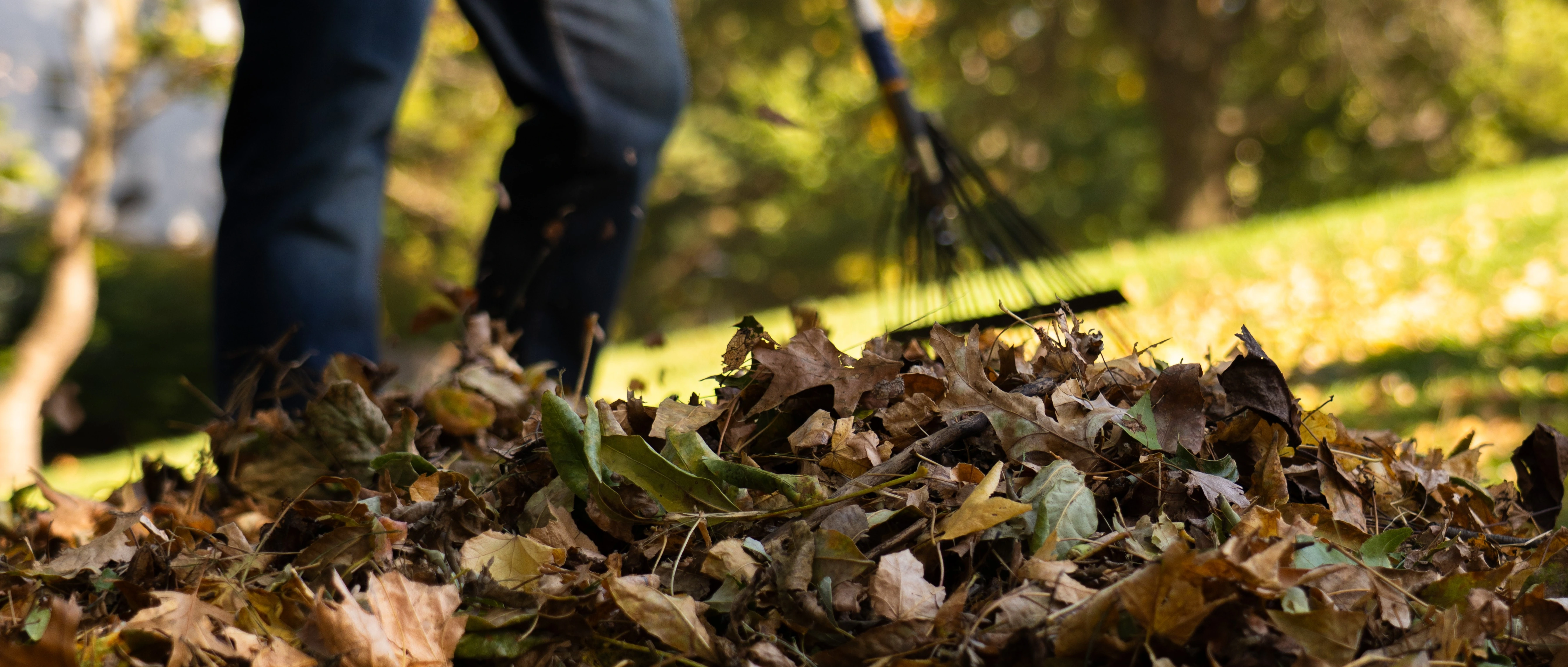Leaves on the ground on a property in Olathe, KS.