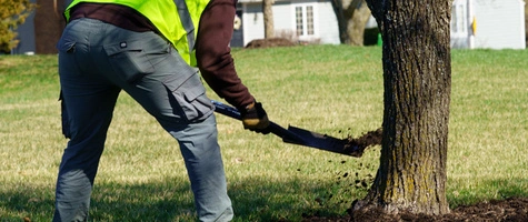 Mulch in landscape bed on a property in Olathe, KS.
